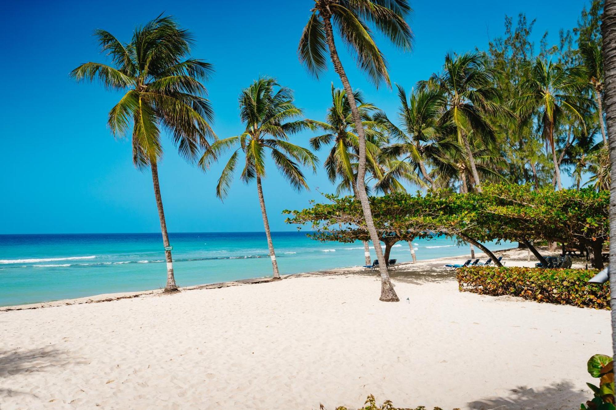 Coconut Court Beach Hotel Christ Church Eksteriør bilde